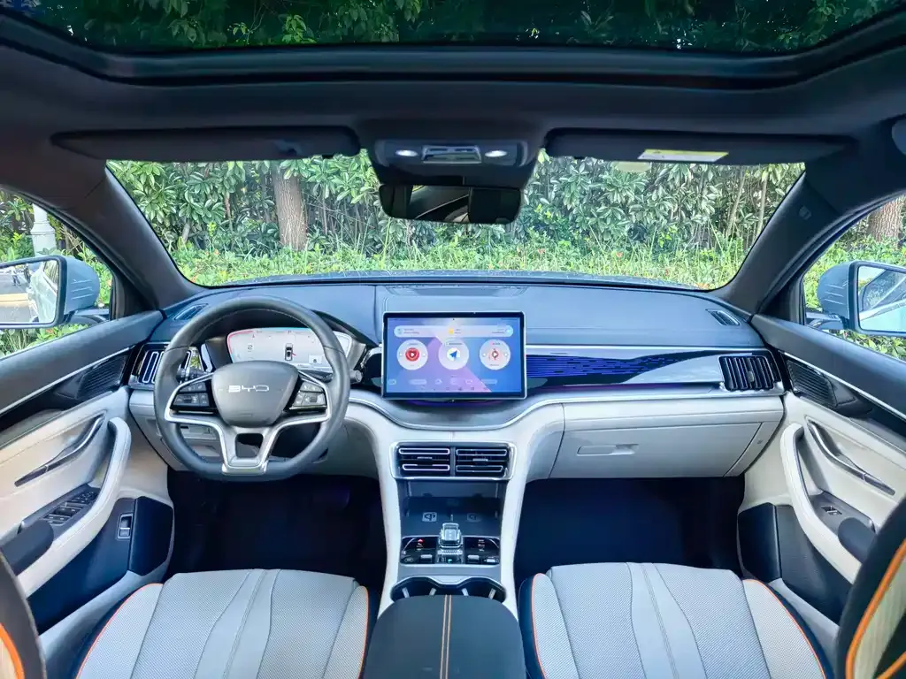 BYD PLUS New Energy — фото 10