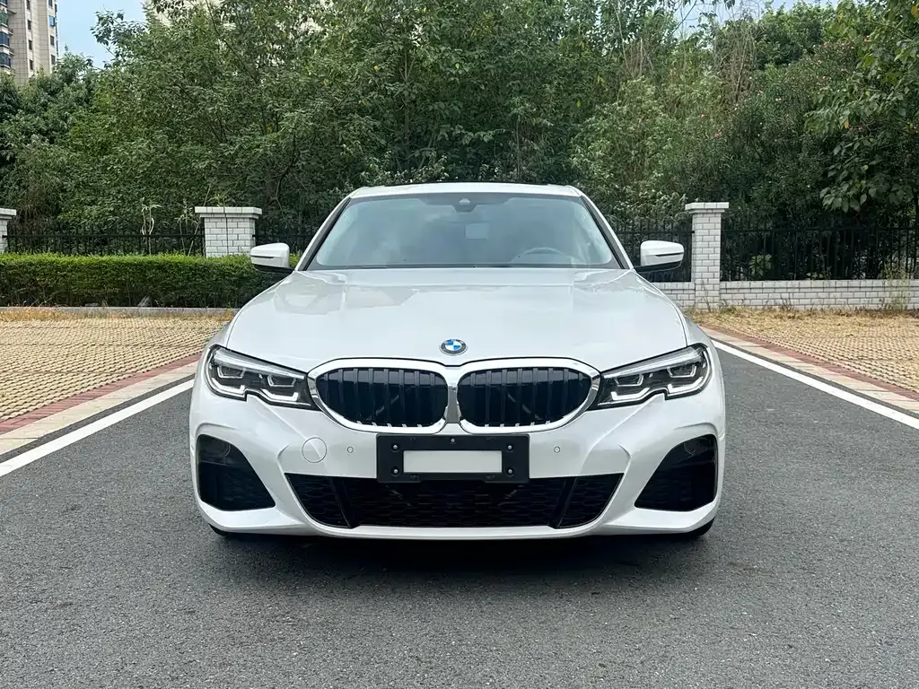 BMW 3 Series 2021 из CN, фото 2