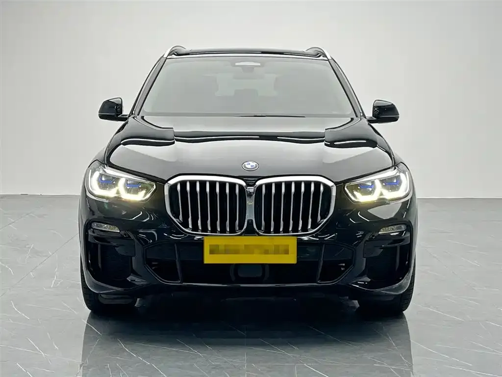 [object Object] X5 (Import) 2021 из CN, фото 2