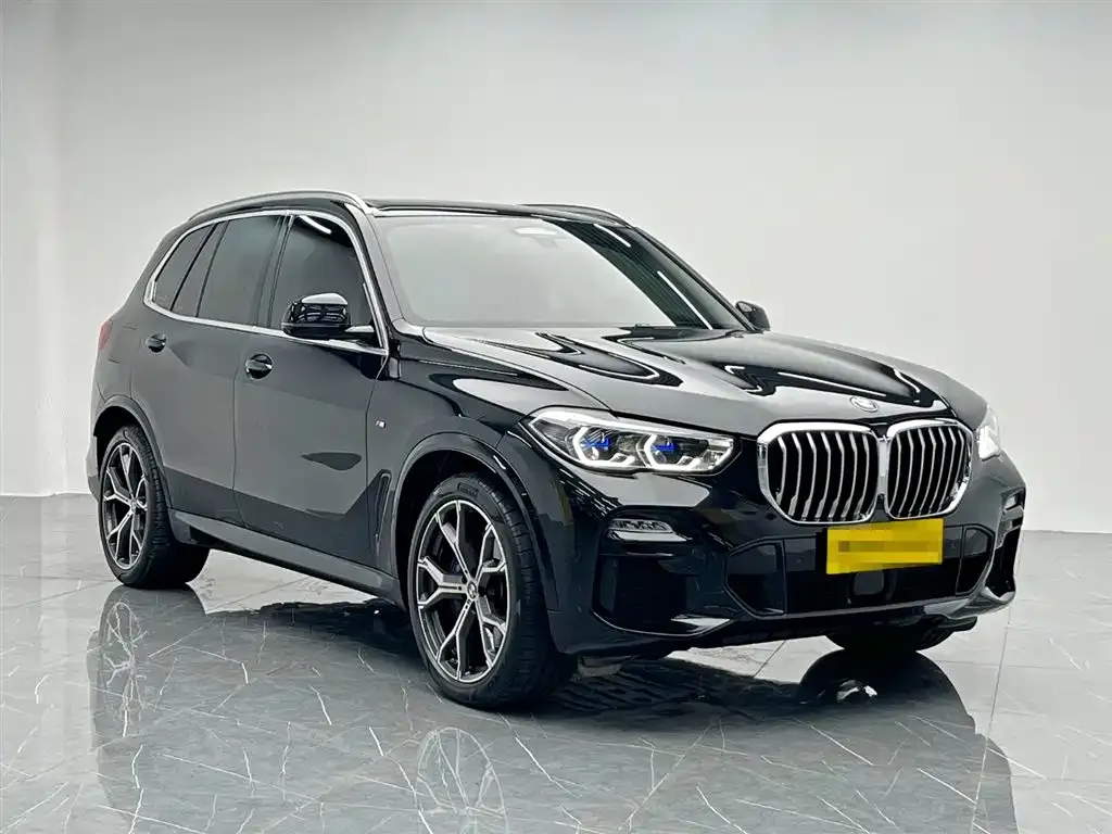 [object Object] X5 (Import) 2021 из CN, фото 8