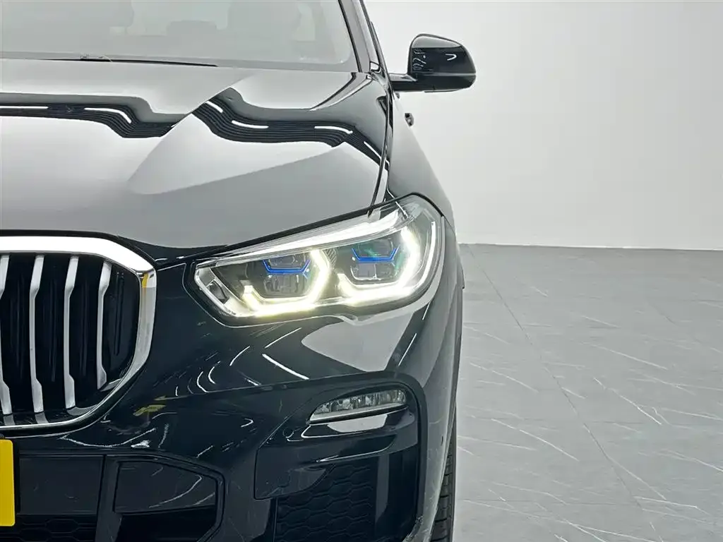 [object Object] X5 (Import) 2021 из CN, фото 9