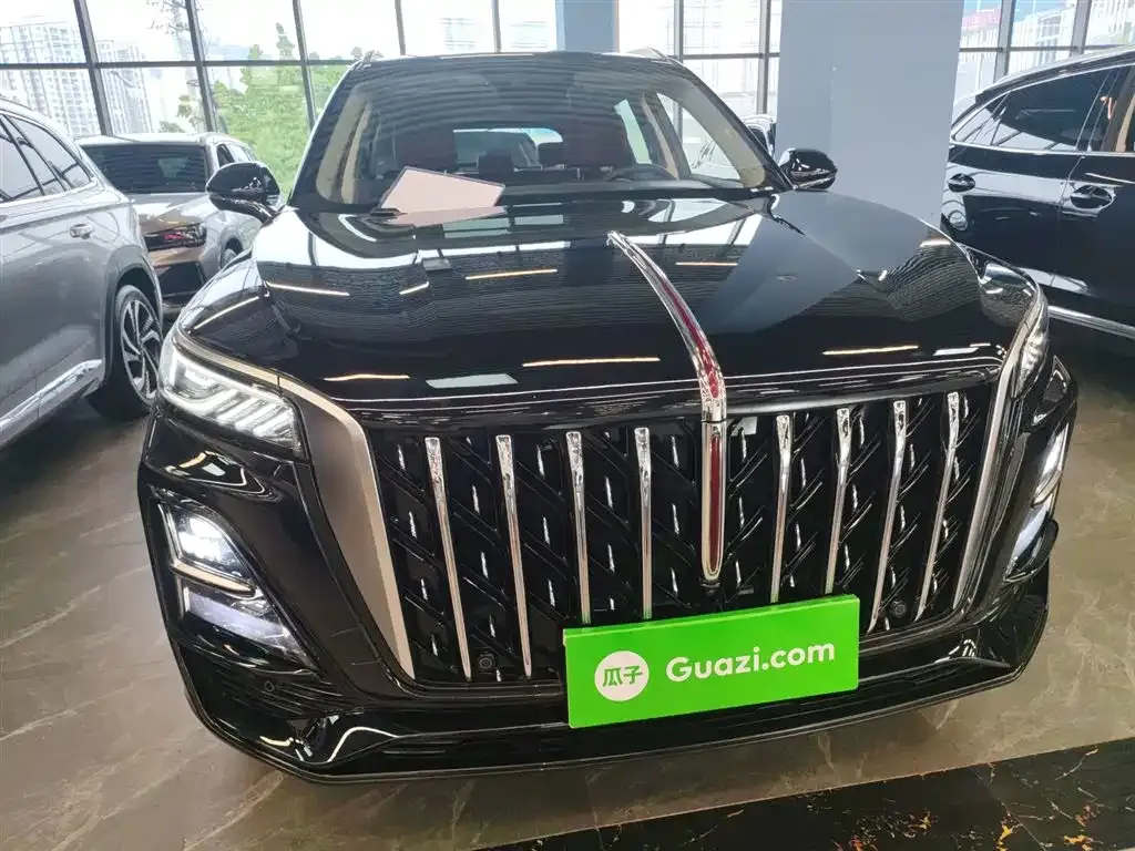 Hongqi HS5 2023 из CN, фото 3