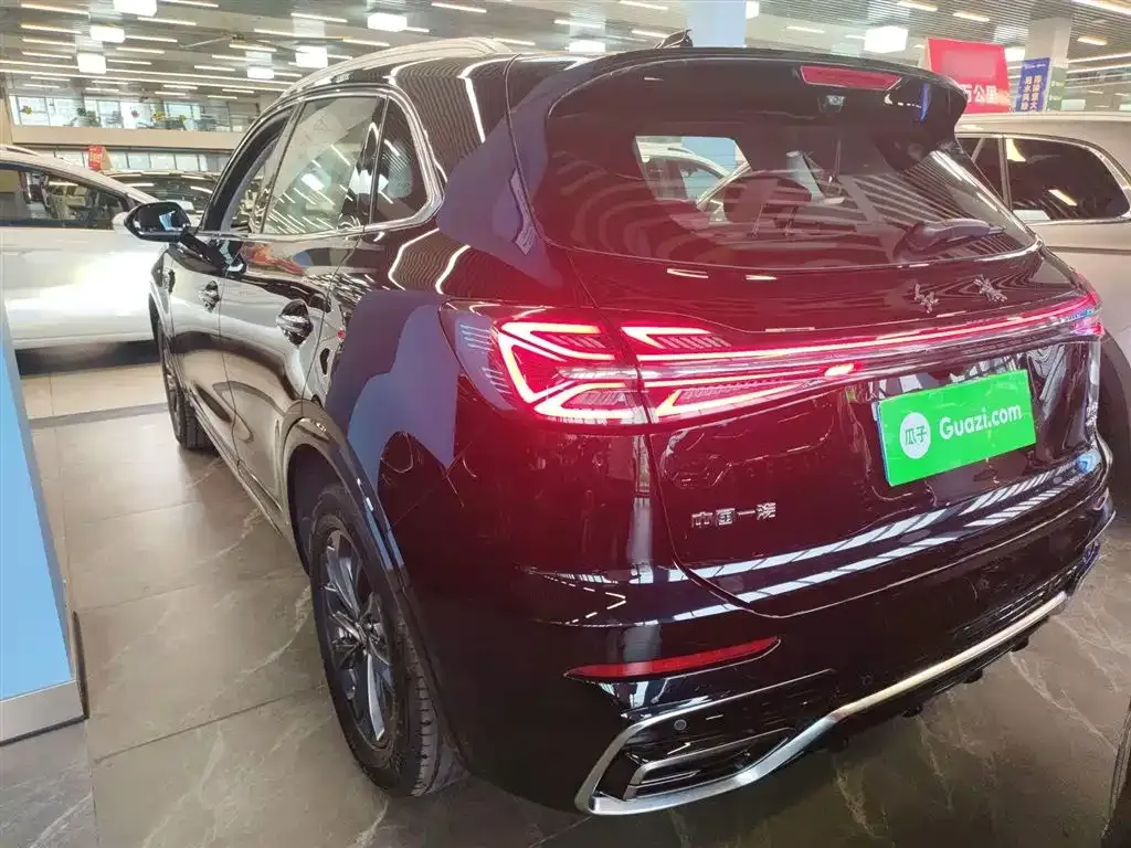 Hongqi HS5 2023 из CN, фото 5