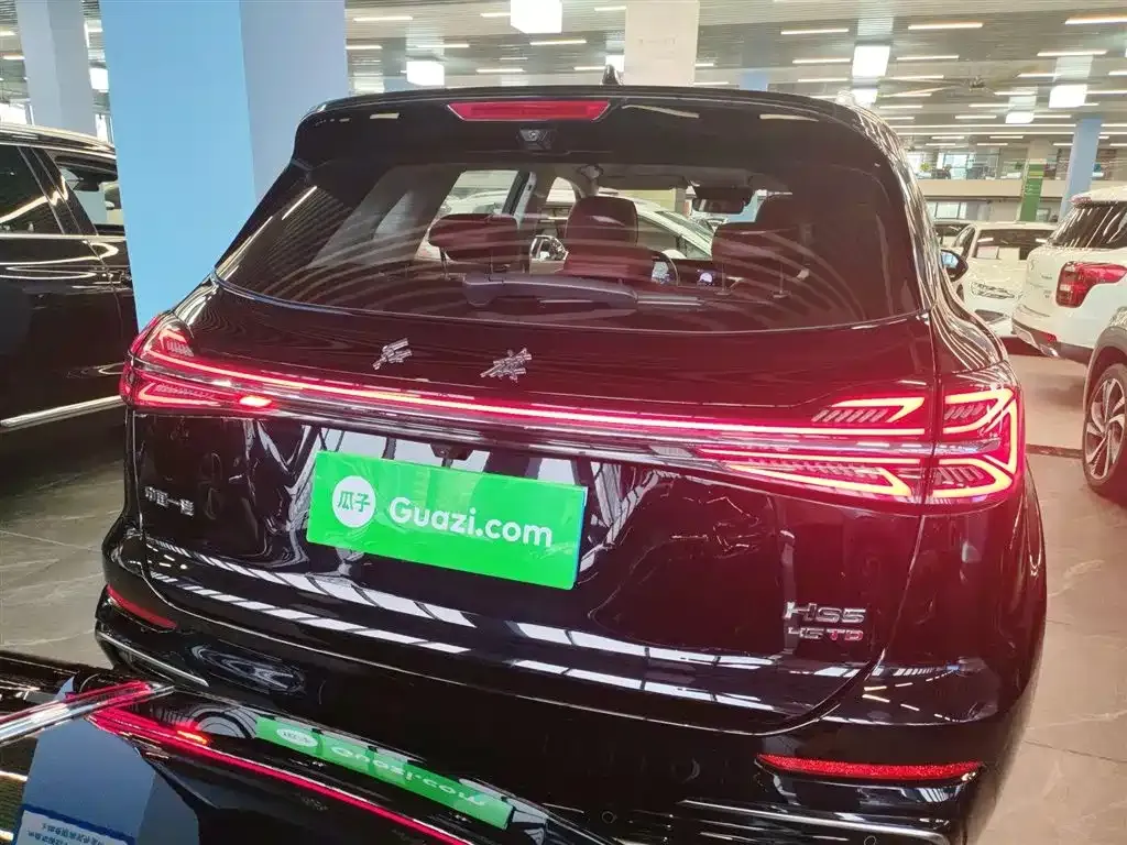 Hongqi HS5 2023 из CN, фото 6