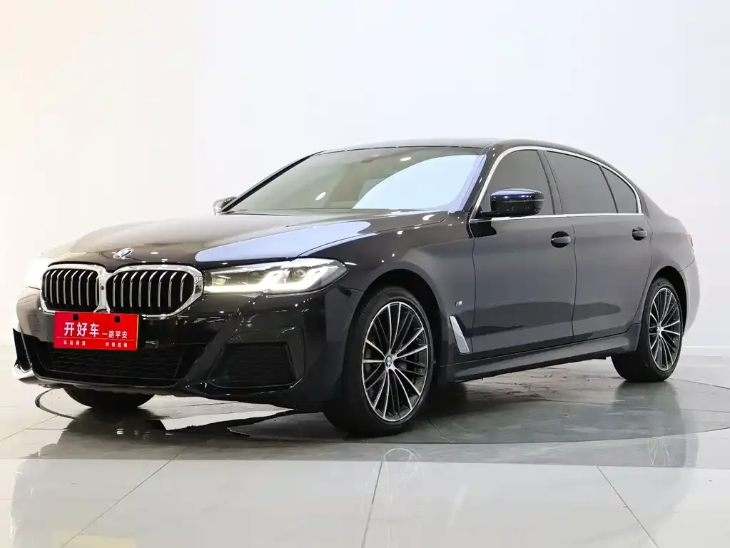 BMW 5 Series 2021 из CN, фото 1