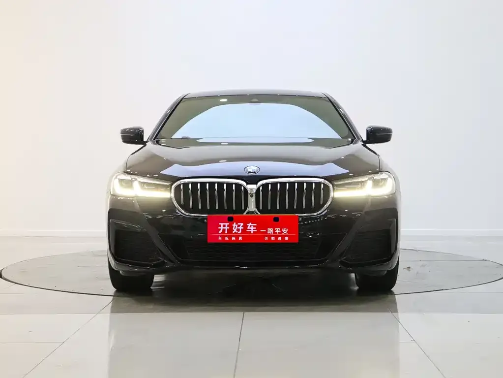 BMW 5 Series 2021 из CN, фото 2