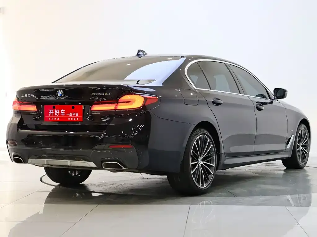 BMW 5 Series 2021 из CN, фото 3