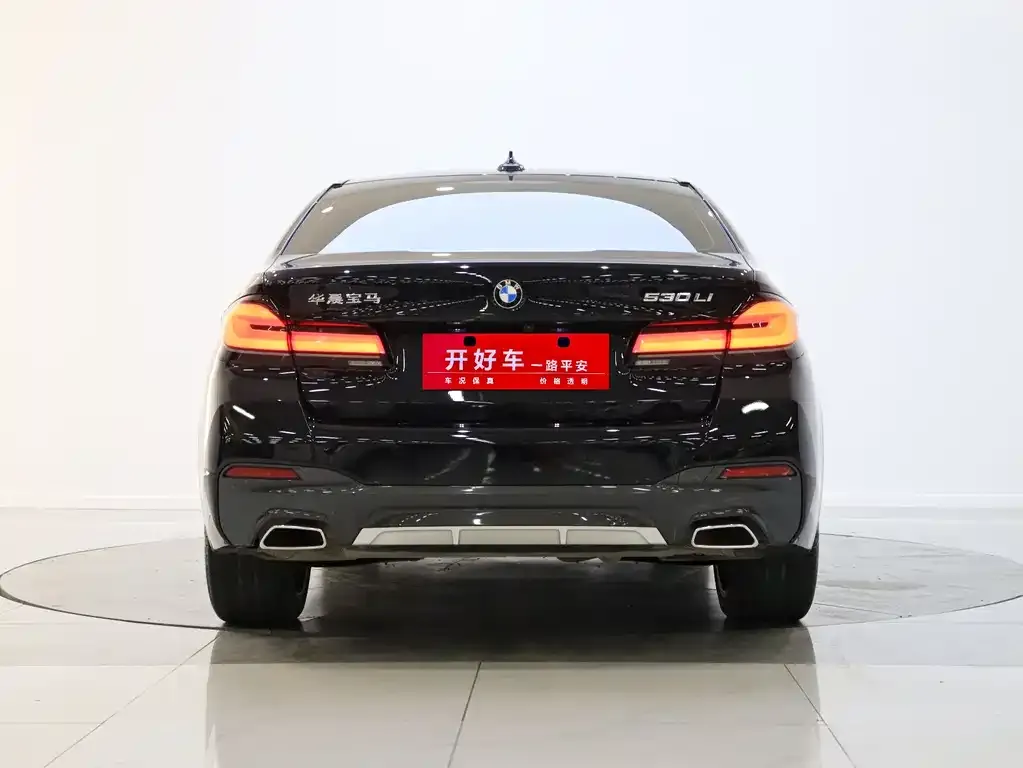 BMW 5 Series 2021 из CN, фото 4