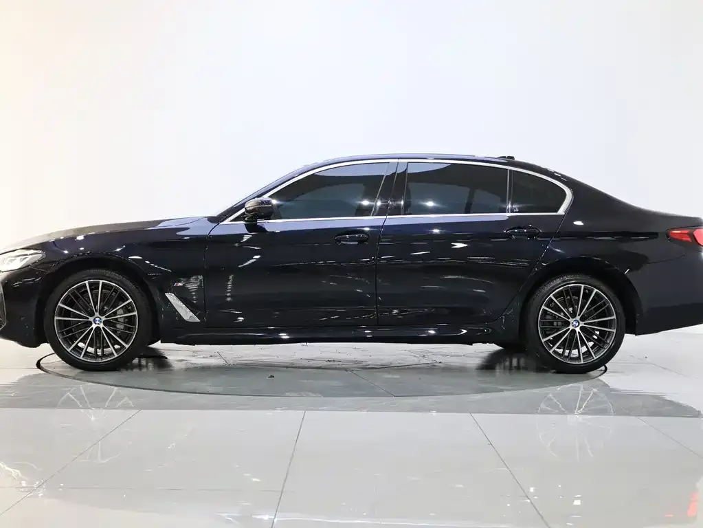 BMW 5 Series 2021 из CN, фото 6