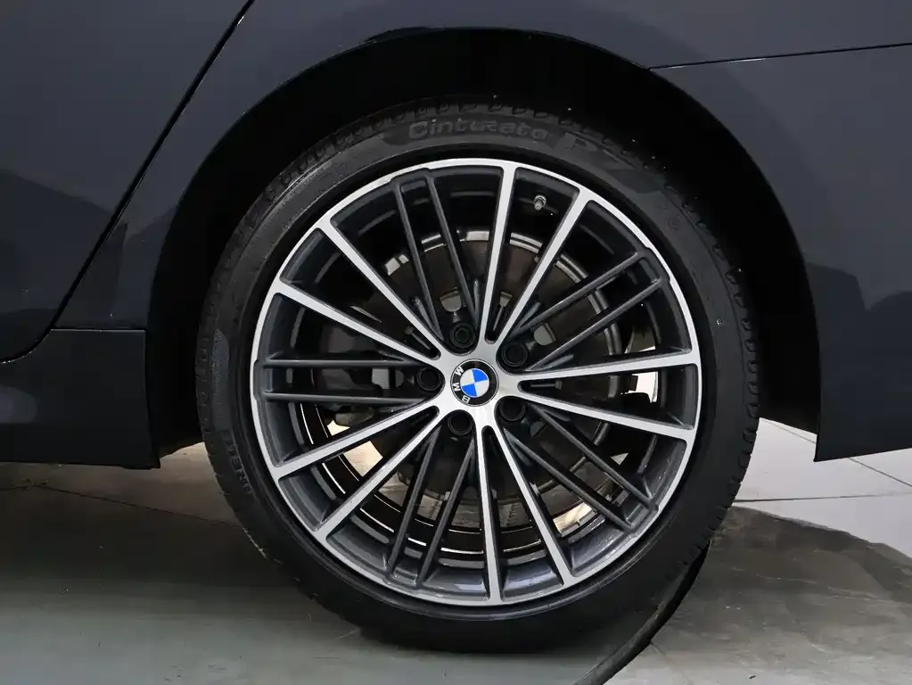 BMW 5 Series 2021 из CN, фото 9
