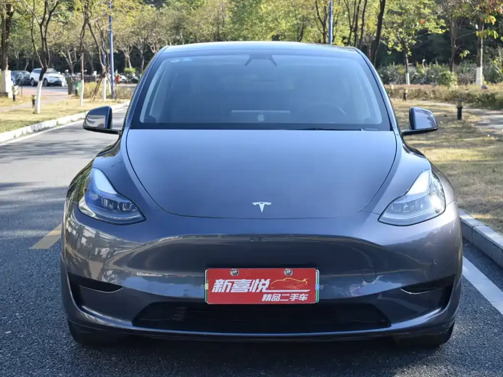 Tesla Model Y — фото 2