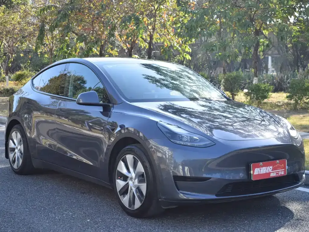 Tesla Model Y — фото 3
