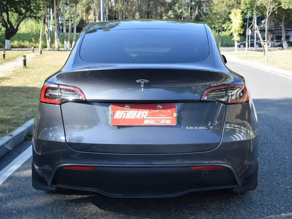 Tesla Model Y — фото 5