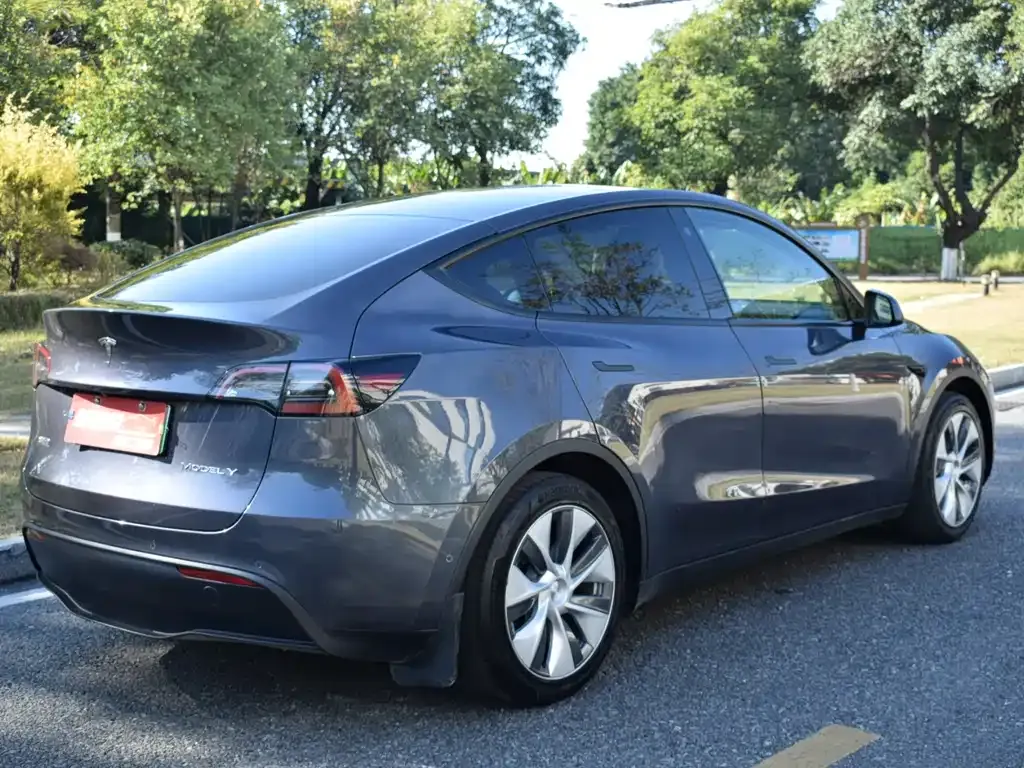 Tesla Model Y — фото 6