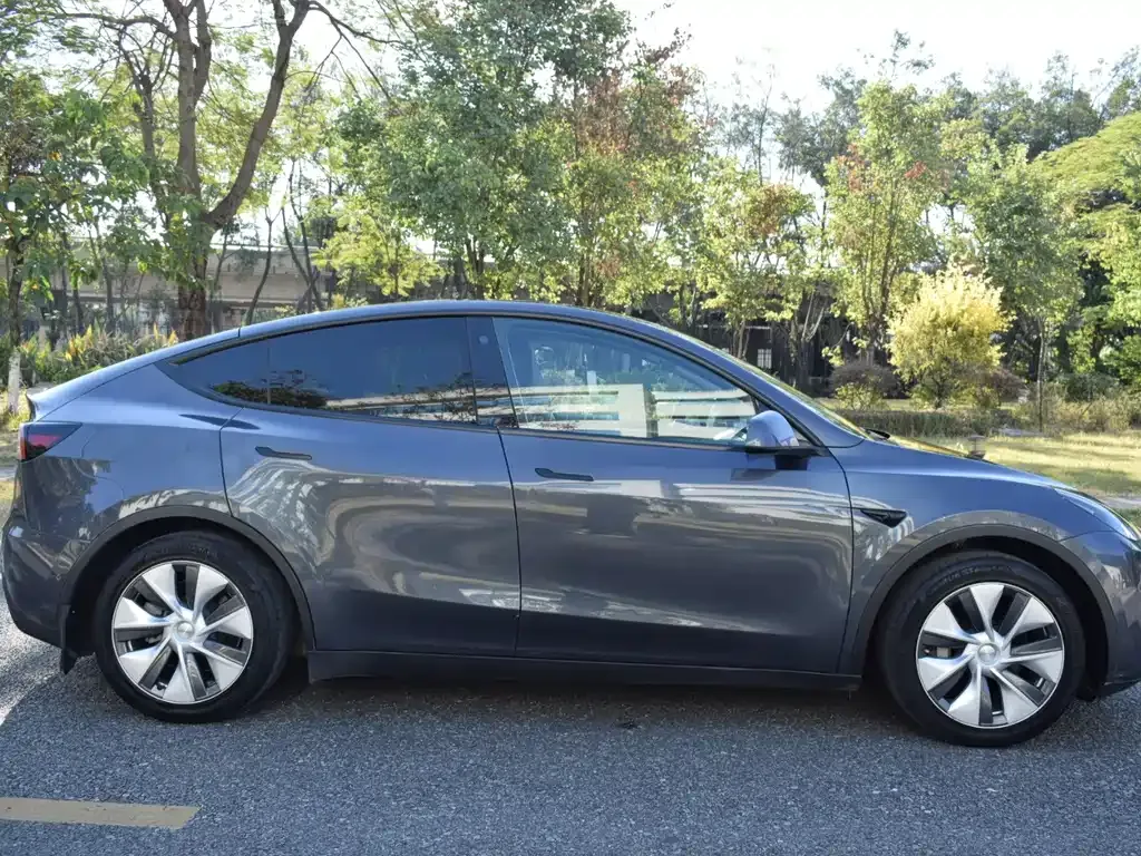 Tesla Model Y — фото 7
