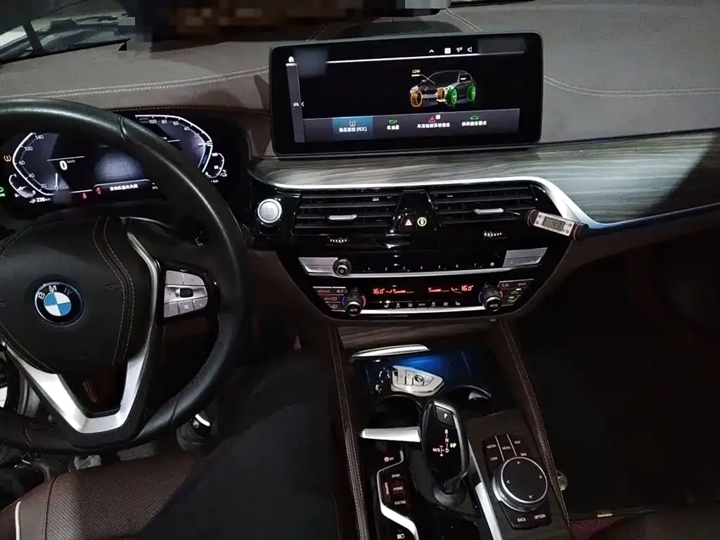 BMW 5 Series New Energy 2022 из CN, фото 10