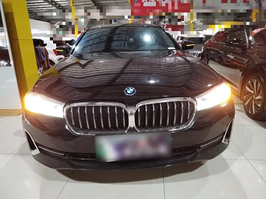 BMW 5 Series New Energy 2022 из CN, фото 3