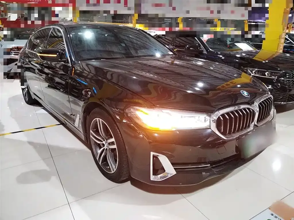BMW 5 Series New Energy 2022 из CN, фото 4