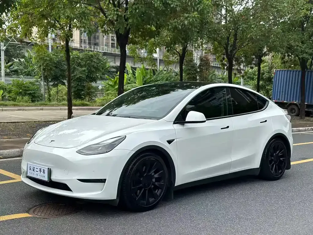 Tesla Model Y 2021 из CN, фото 1
