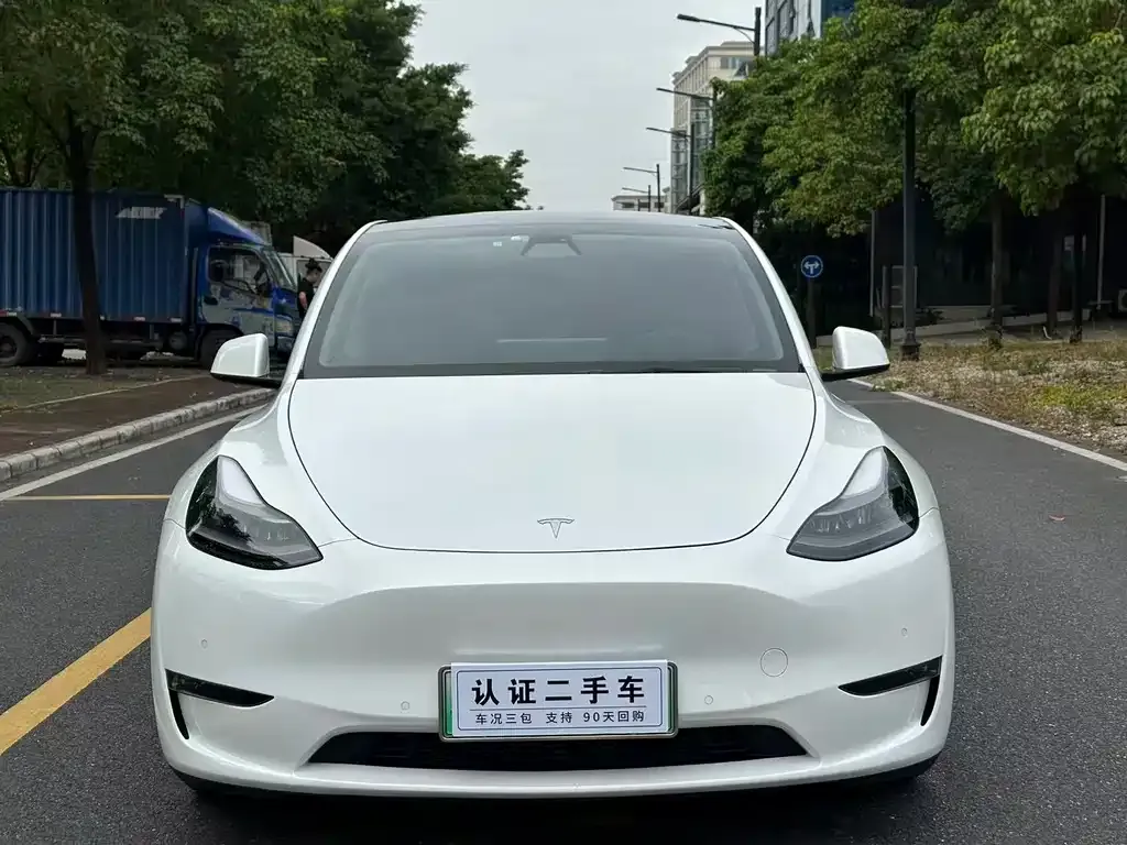Tesla Model Y 2021 из CN, фото 2