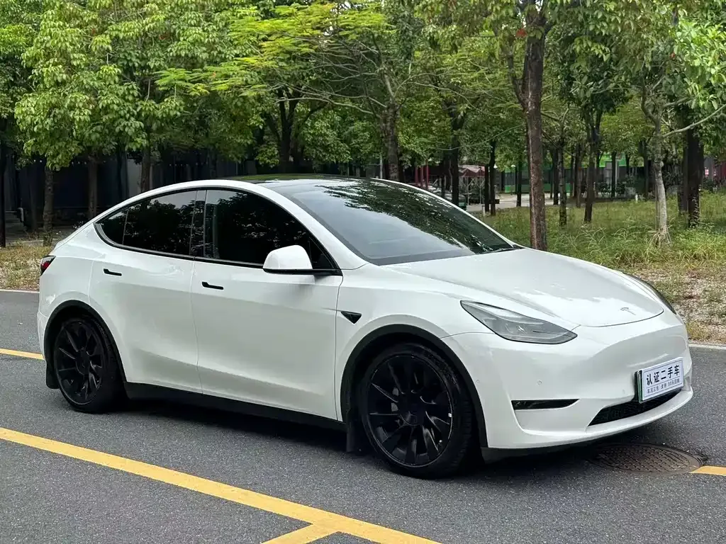Tesla Model Y 2021 из CN, фото 3