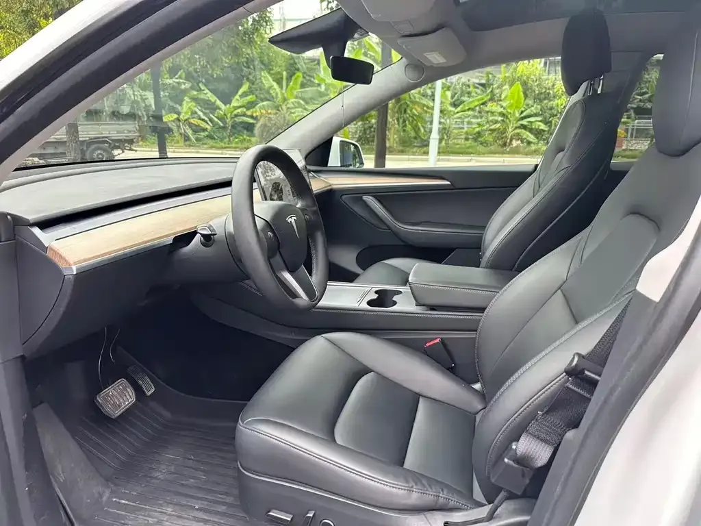 Tesla Model Y 2021 из CN, фото 4