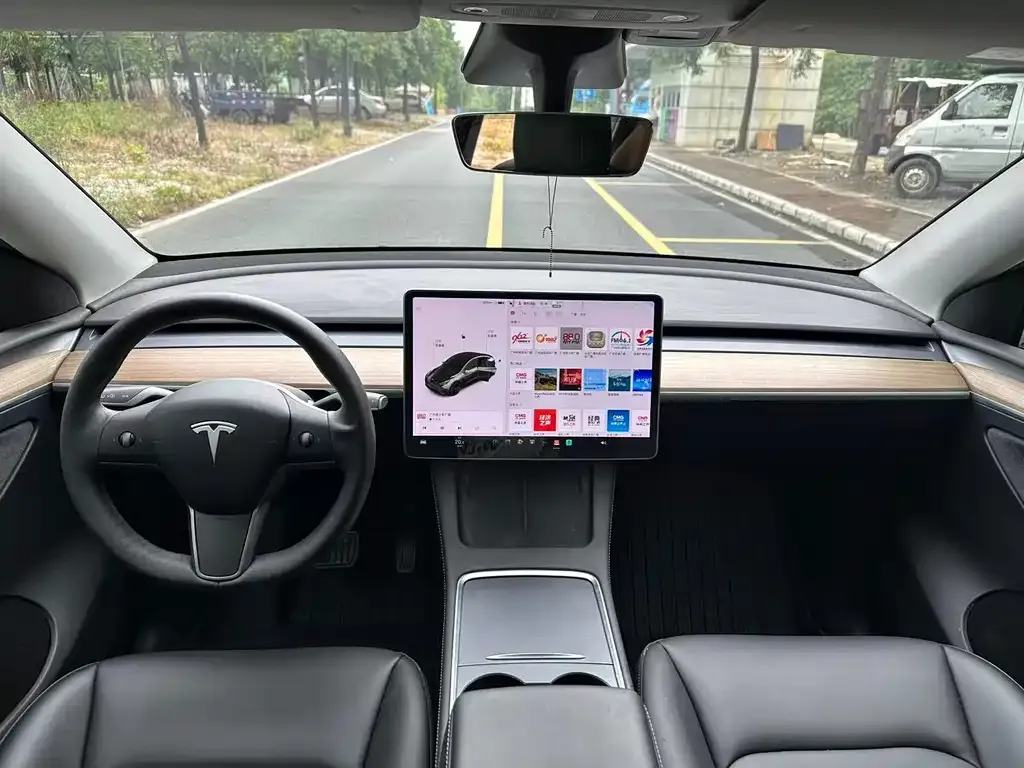 Tesla Model Y 2021 из CN, фото 5