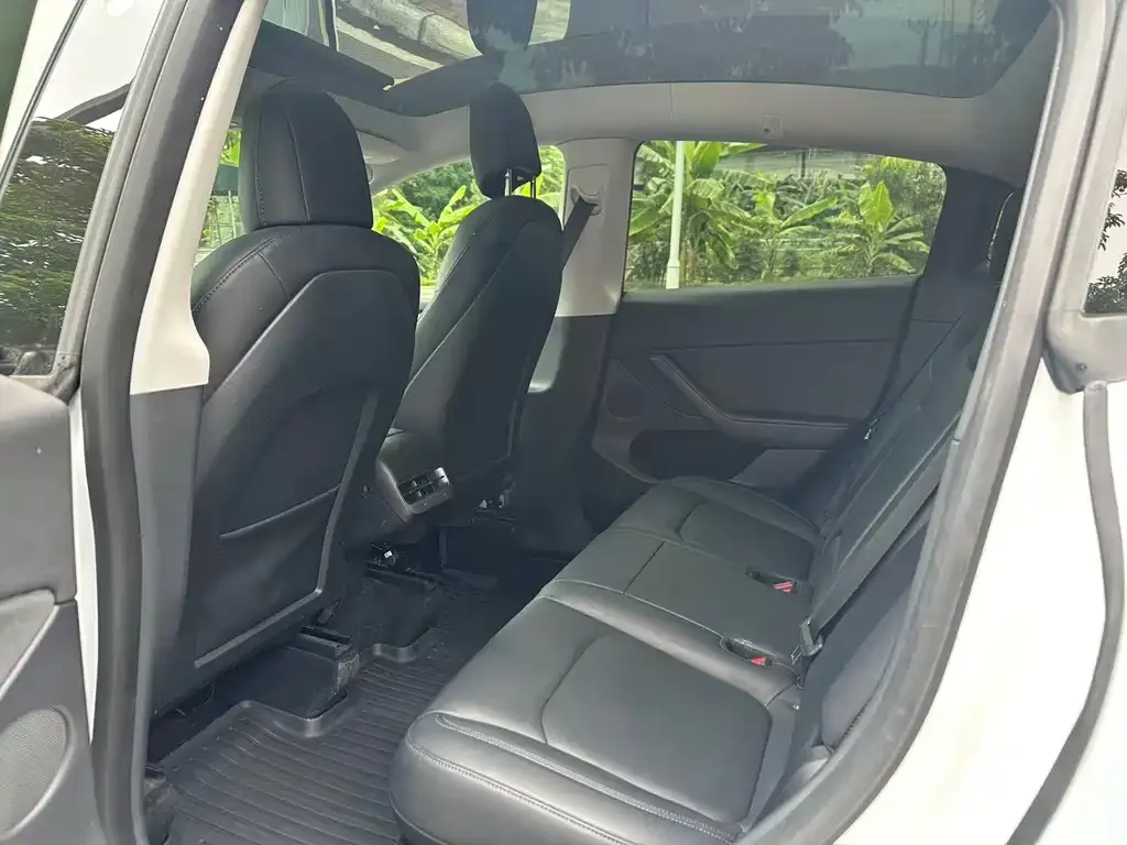 Tesla Model Y 2021 из CN, фото 6