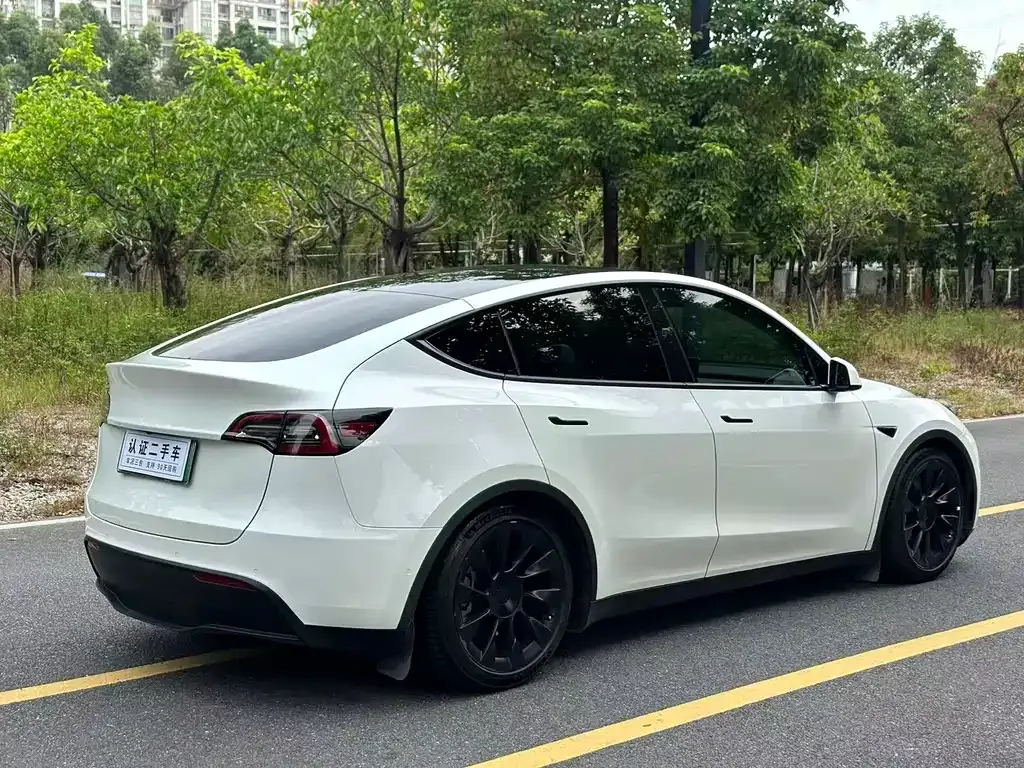 Tesla Model Y 2021 из CN, фото 7
