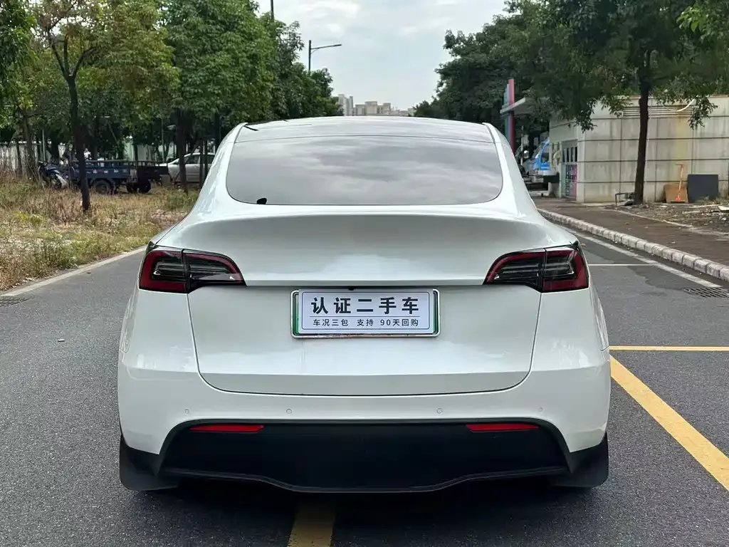 Tesla Model Y 2021 из CN, фото 8