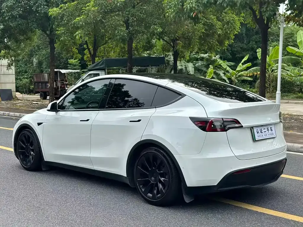 Tesla Model Y 2021 из CN, фото 9