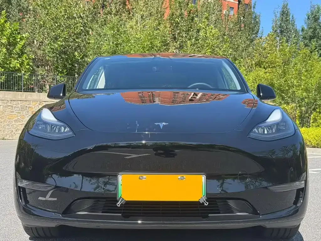 Tesla Model Y — фото 2
