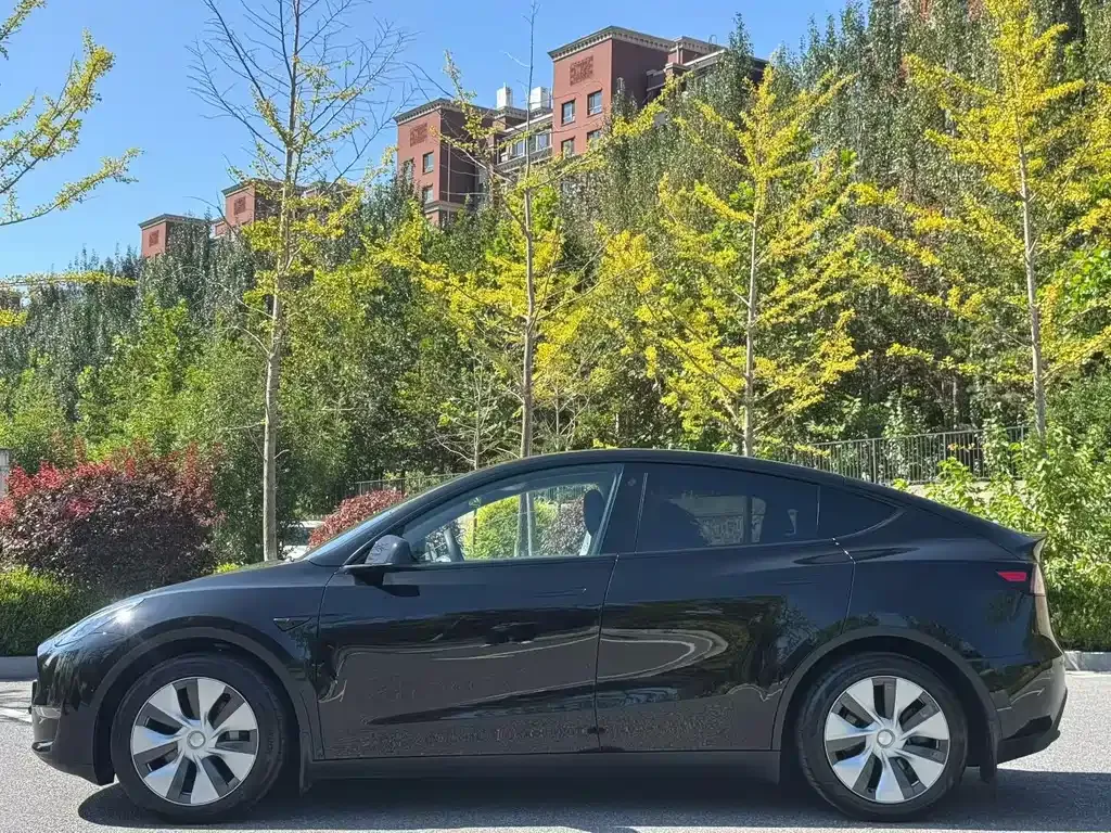 Tesla Model Y — фото 3