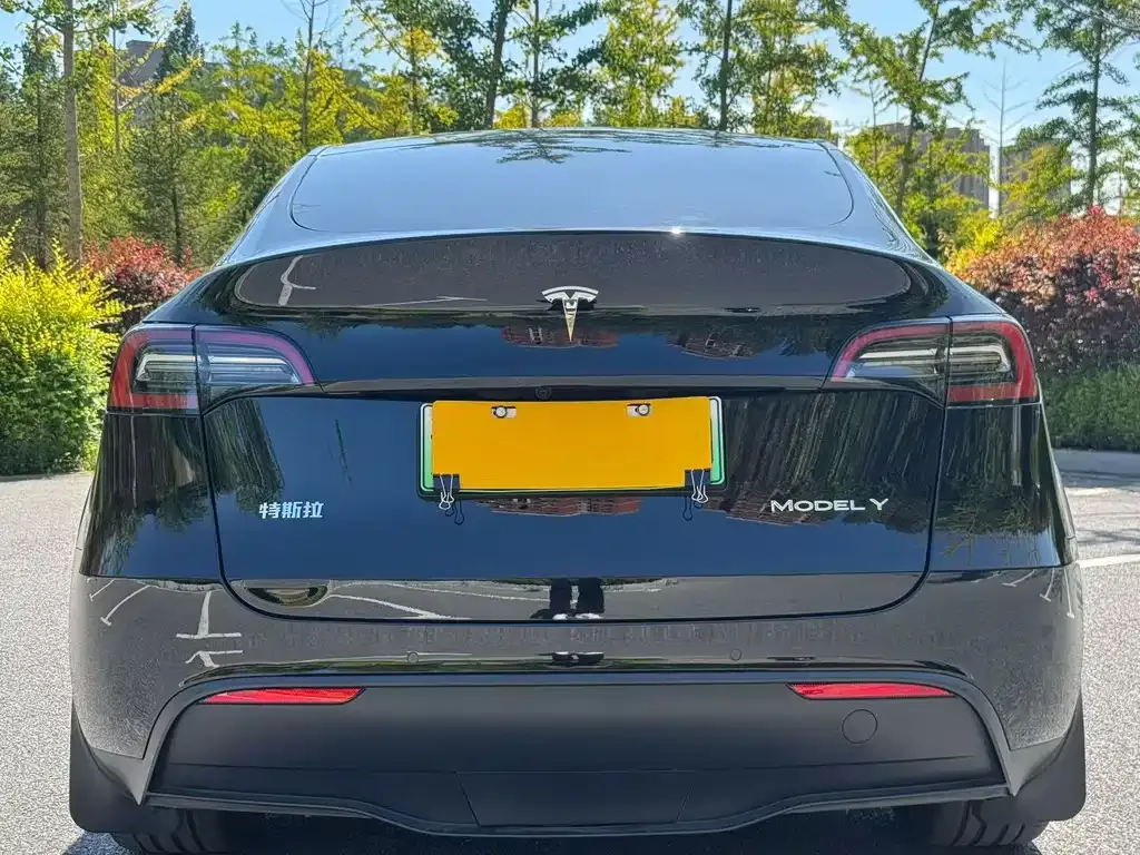Tesla Model Y — фото 8