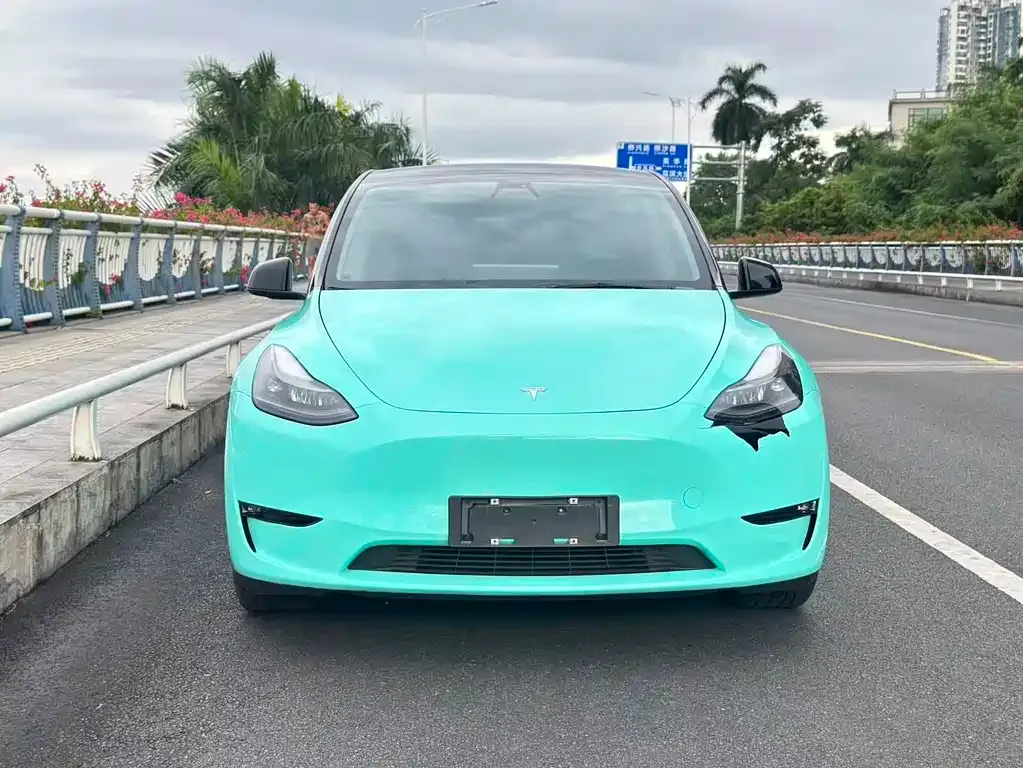 Tesla Model Y 2021 из CN, фото 2