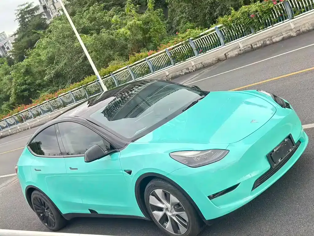 Tesla Model Y 2021 из CN, фото 3