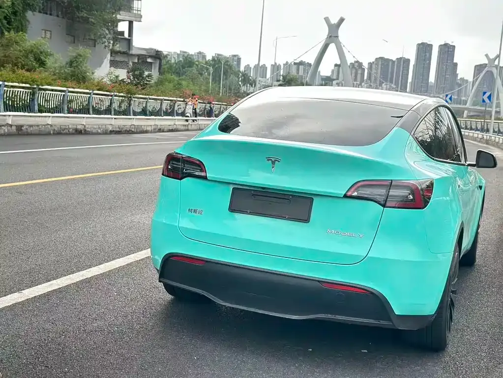 Tesla Model Y 2021 из CN, фото 4