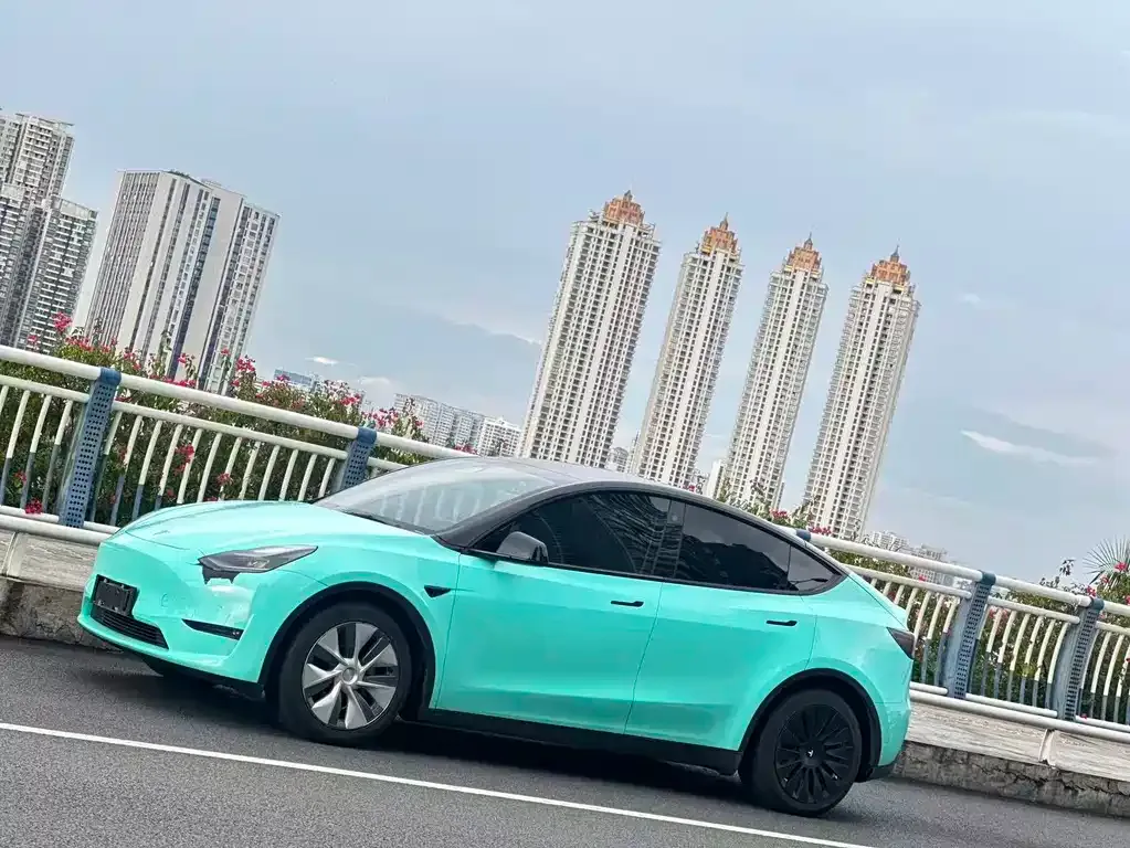 Tesla Model Y 2021 из CN, фото 5