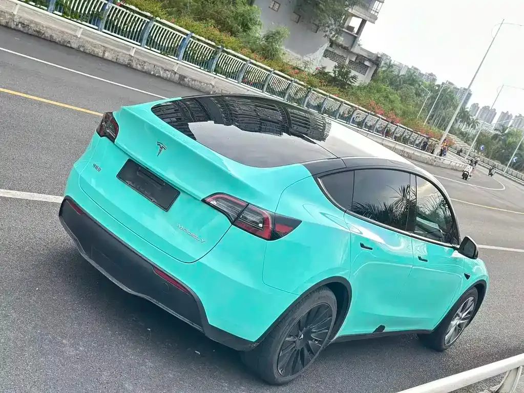 Tesla Model Y 2021 из CN, фото 6