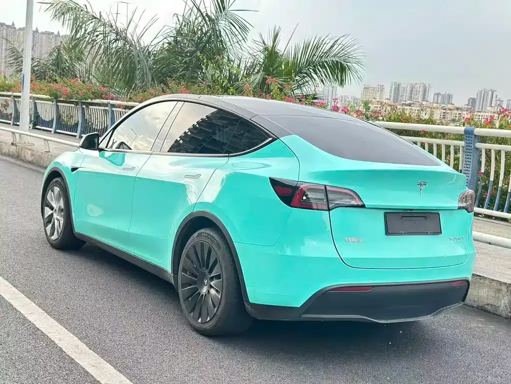 Tesla Model Y 2021 из CN, фото 7
