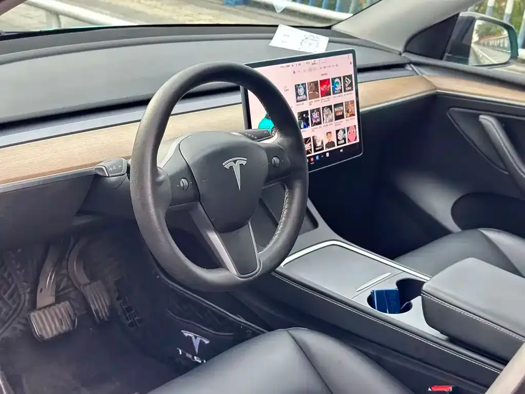 Tesla Model Y 2021 из CN, фото 8