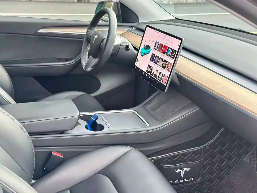 Tesla Model Y 2021 из CN, фото 9