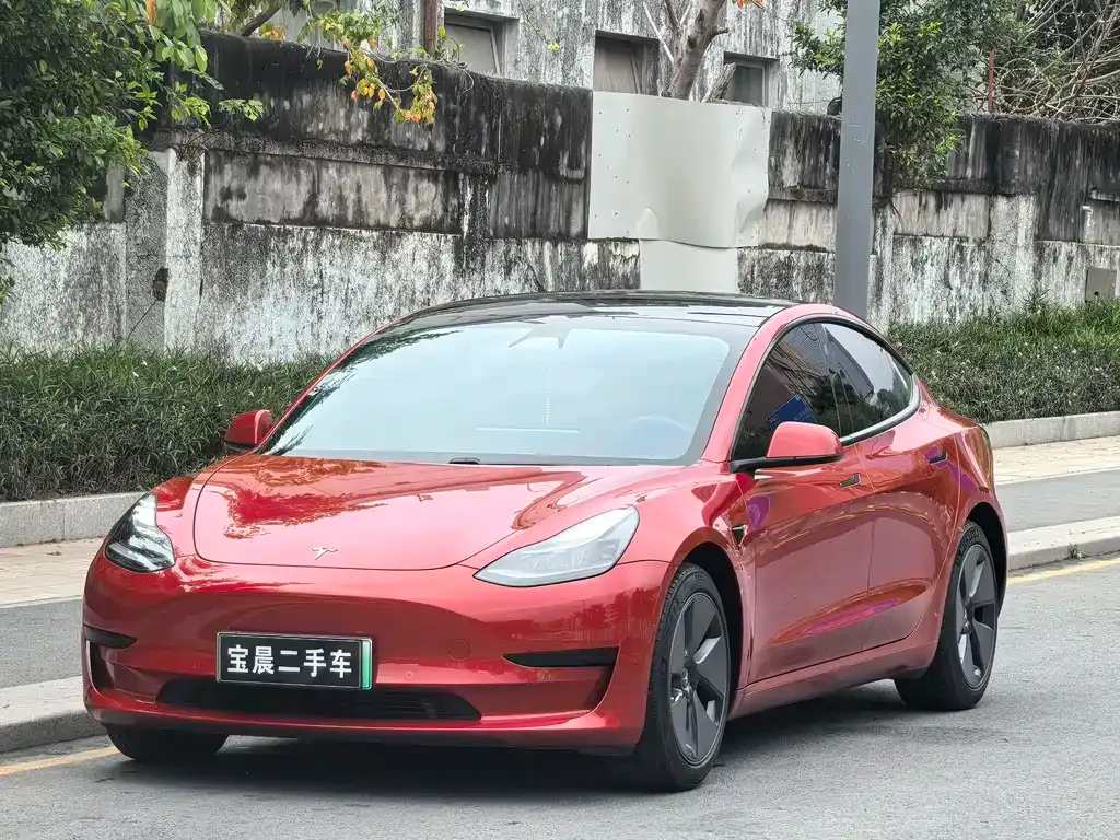 Tesla Model 3 2021 из CN, фото 1