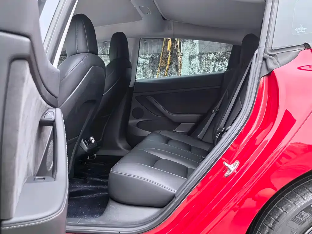 Tesla Model 3 2021 из CN, фото 10