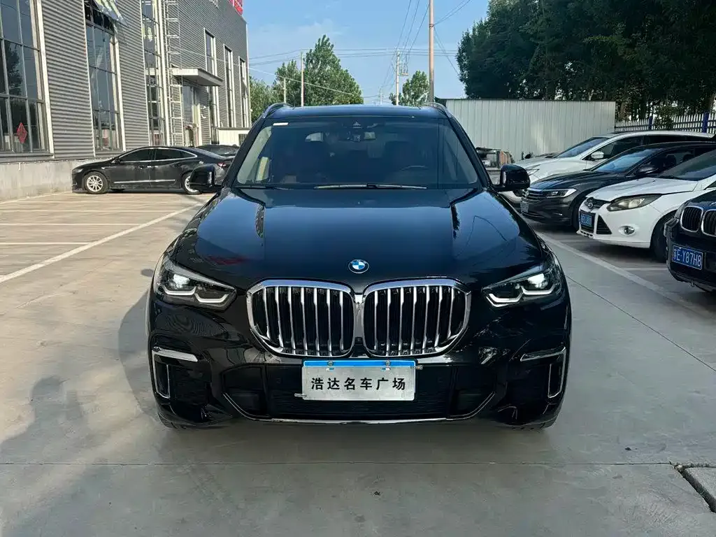 BMW X5 2023 из CN, фото 2