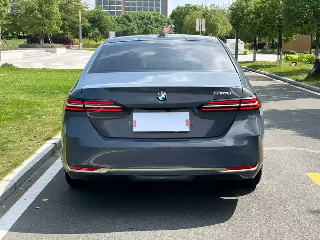 BMW 5 Series 2024 из CN, фото 8