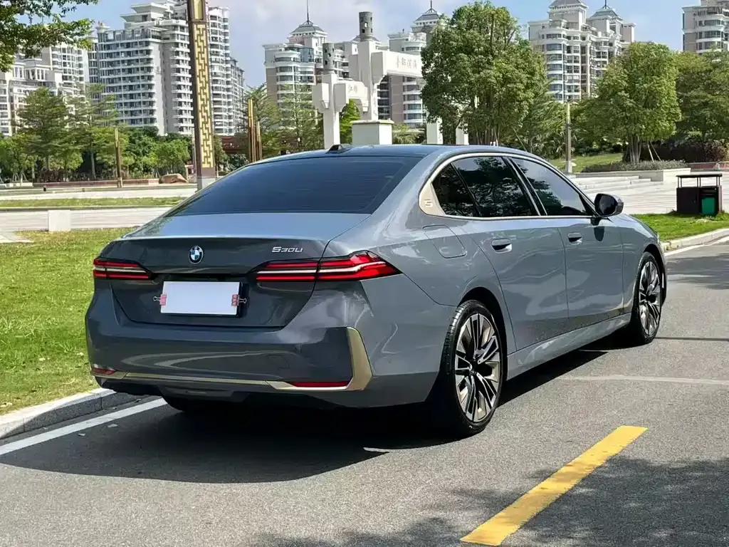 BMW 5 Series 2024 из CN, фото 9