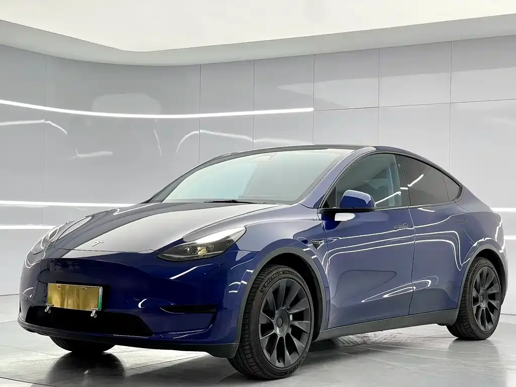 Tesla Model Y — фото 1