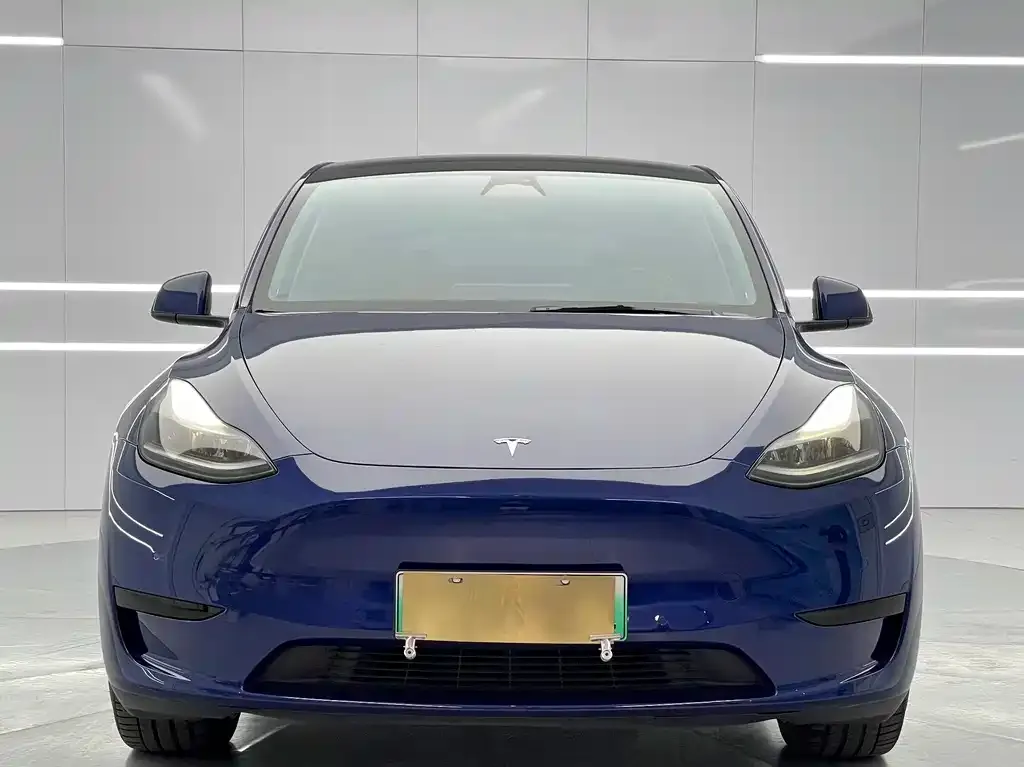 Tesla Model Y — фото 2