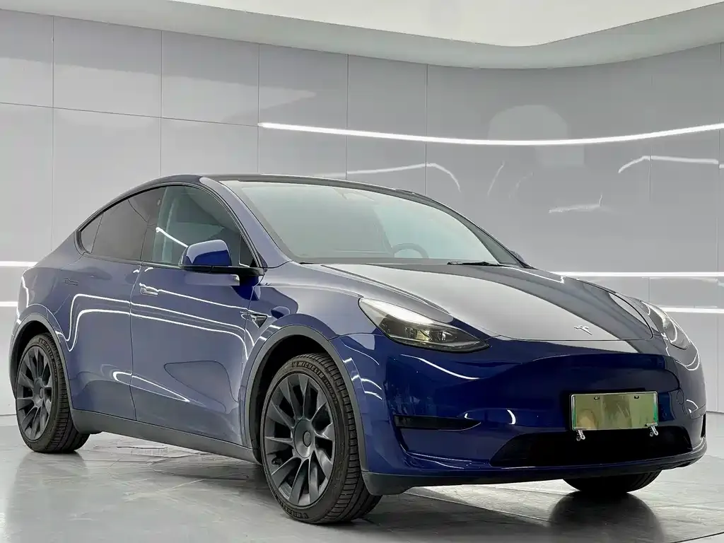 Tesla Model Y — фото 3